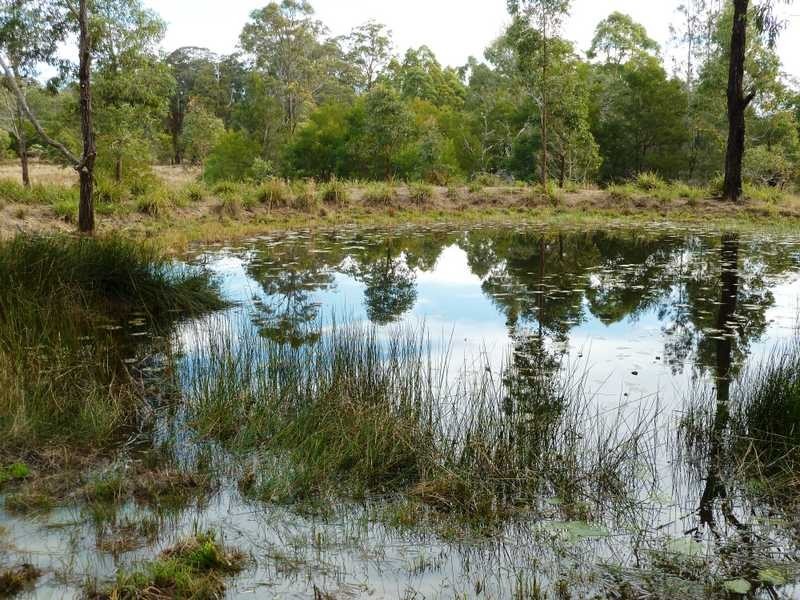 77 83 91 Blackhead Road, Rainbow Flat NSW 2430