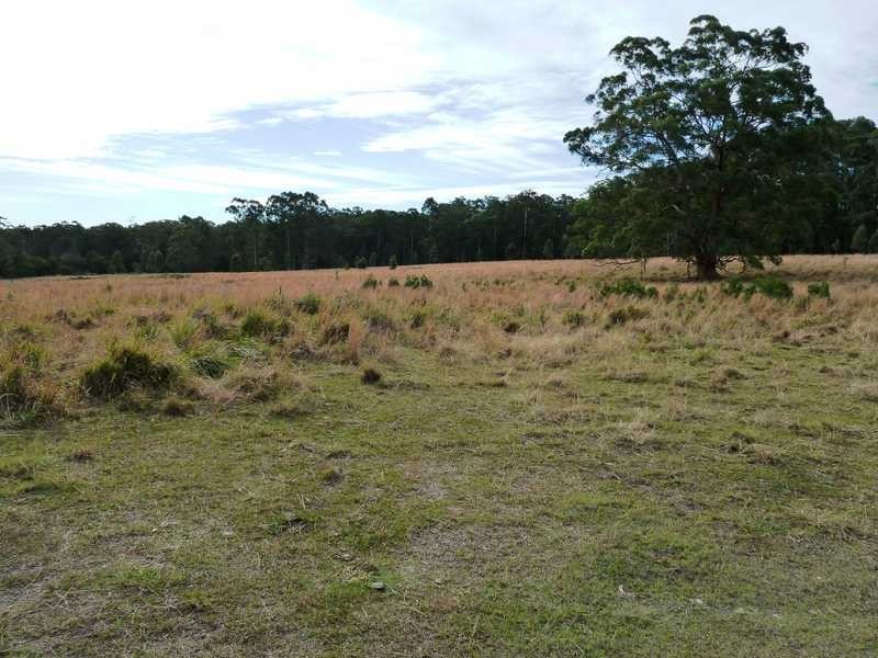 77 83 91 Blackhead Road, Rainbow Flat NSW 2430