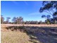 Lot 303 Blackhead Road, Hallidays Point NSW 2430