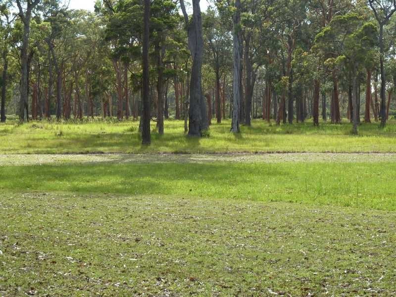 Lot 16B Blackbutt Drive, Failford NSW 2430