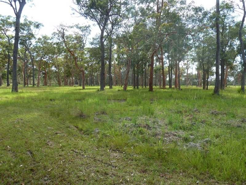 Lot 16B Blackbutt Drive, Failford NSW 2430