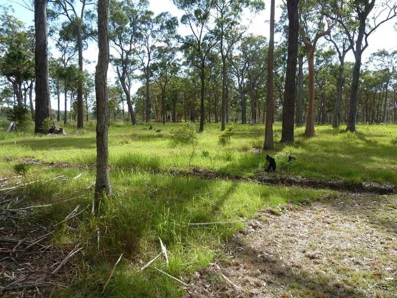 Lot 16B Blackbutt Drive, Failford NSW 2430