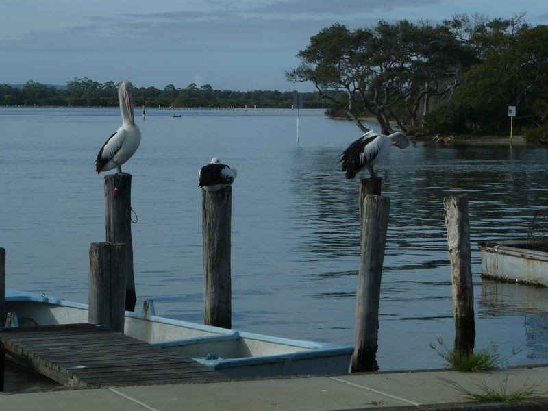 4/9 Point Road, Tuncurry NSW 2428