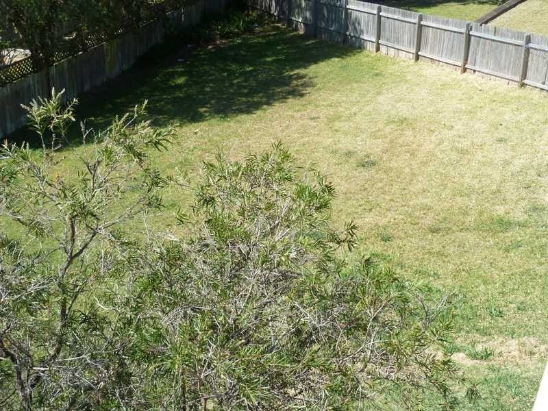 17 Bells Close, Forster NSW 2428