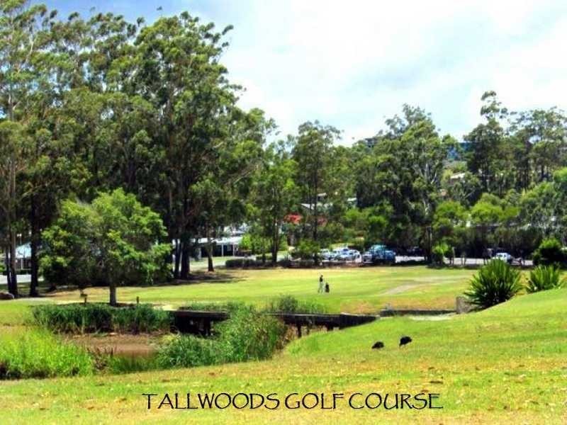 4 The Eagles Nest, Tallwoods Village NSW 2430