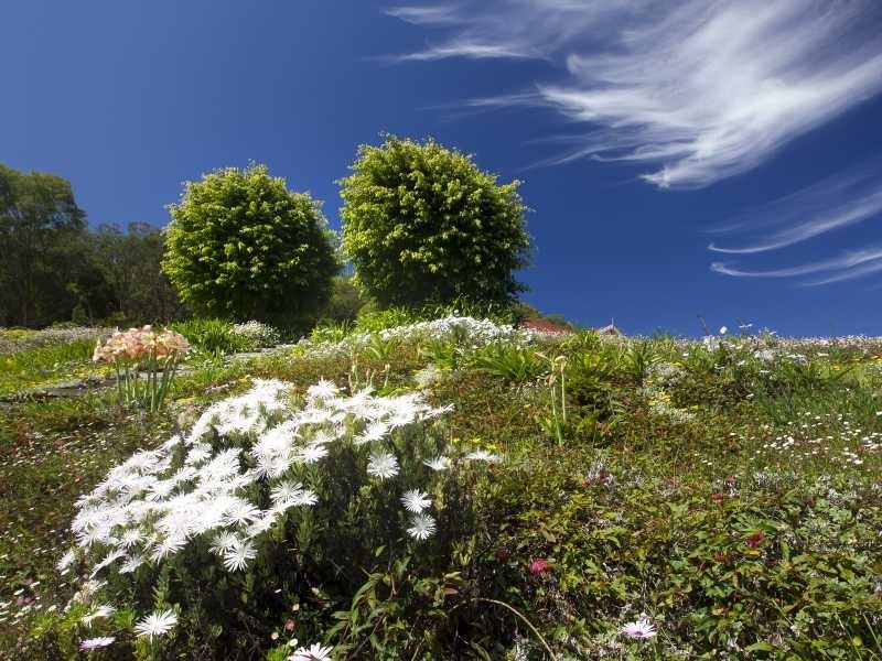 6 Roseville Close, Forster NSW 2428