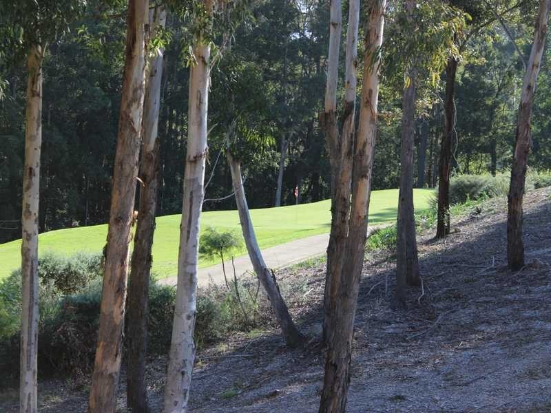 7 The Fairway, Tallwoods Village NSW 2430