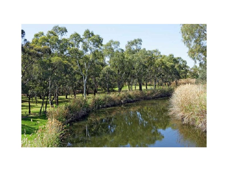 12 Duncan  Street, Lockleys SA 5032