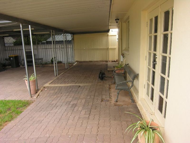 20 White Avenue, Lockleys SA 5032