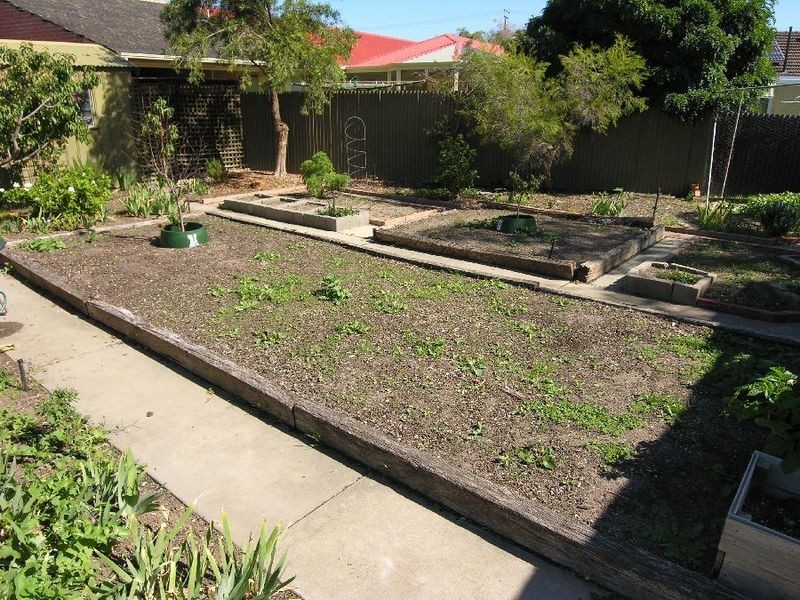 3 Wentworth Street, Lockleys SA 5032