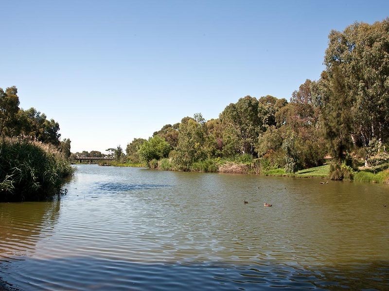 16 Durham Avenue, Lockleys SA 5032