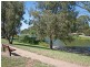 16 Durham Avenue, Lockleys SA 5032