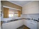 16 Durham Avenue, Lockleys SA 5032