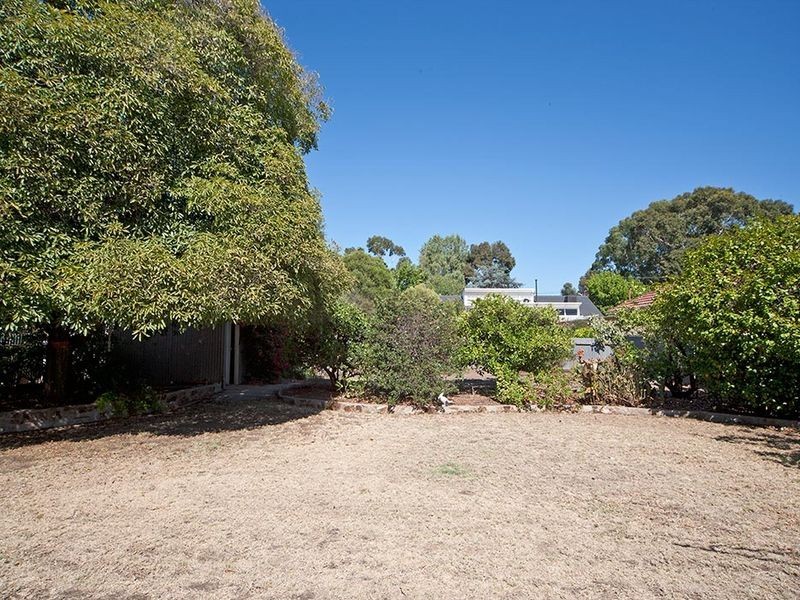 16 Durham Avenue, Lockleys SA 5032