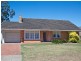 31 Rutland Avenue, Lockleys SA 5032