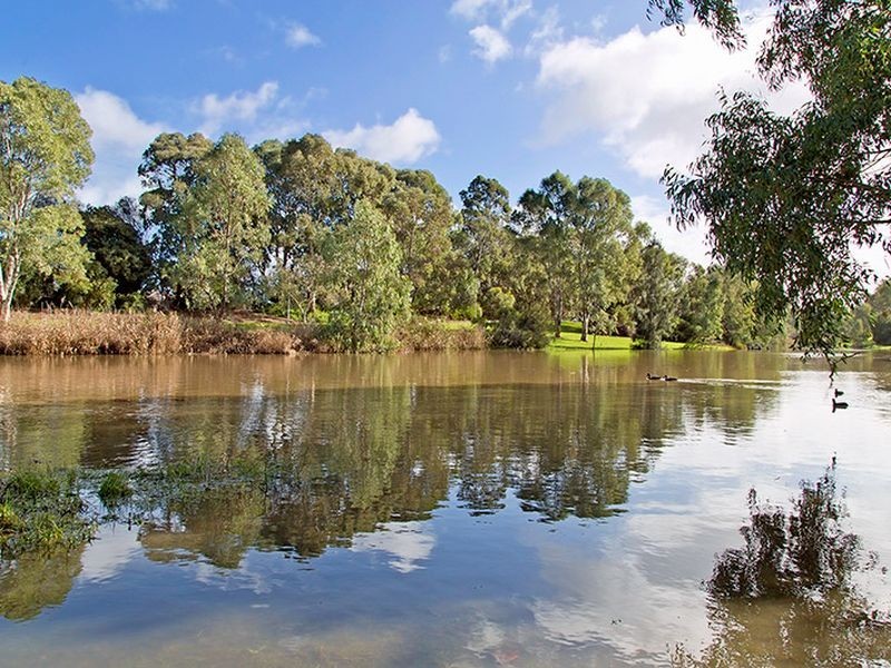 3 Eringa Avenue, Lockleys SA 5032