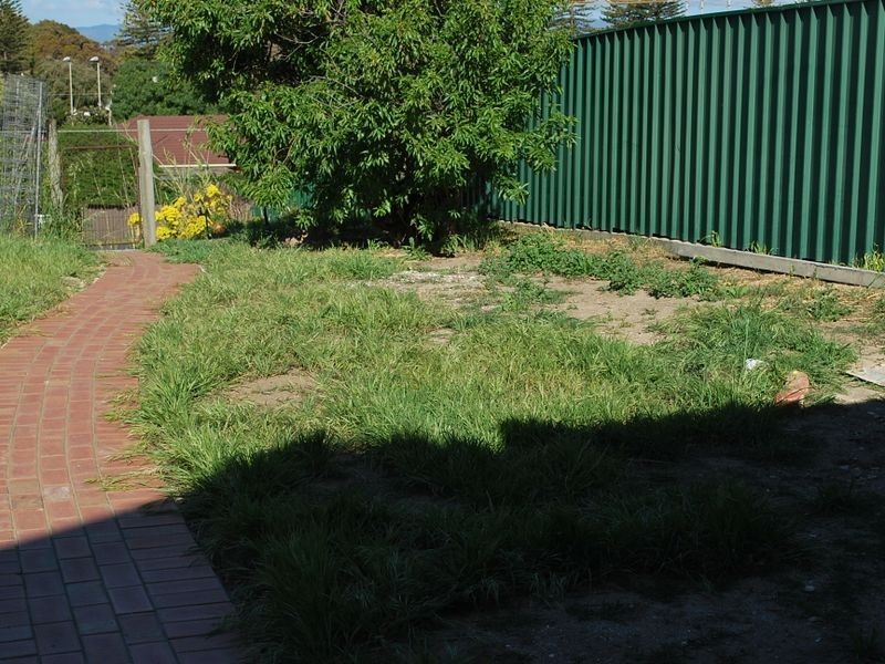 540 Seaview Road, Grange SA 5022