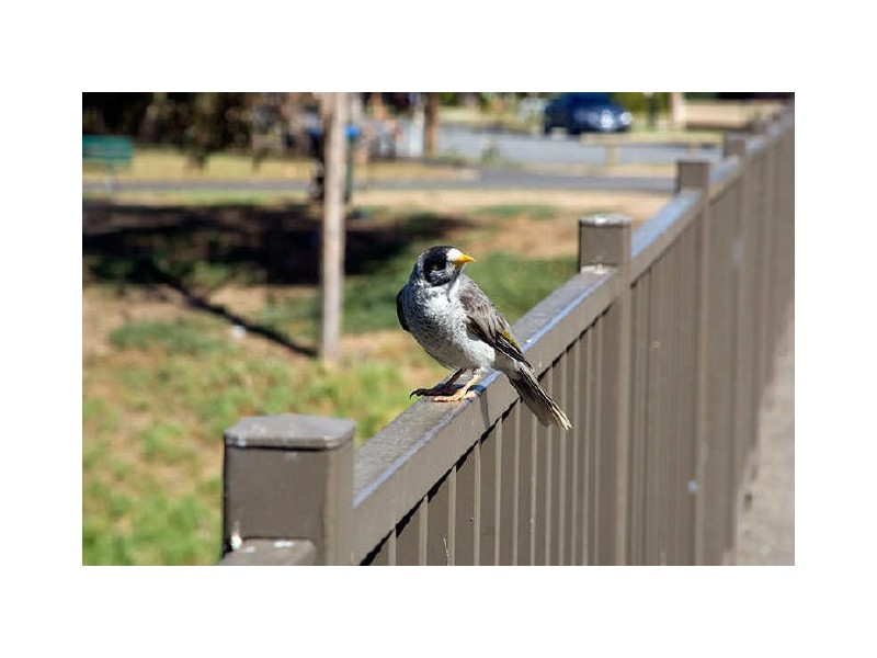 7 Noble Avenue, Lockleys SA 5032