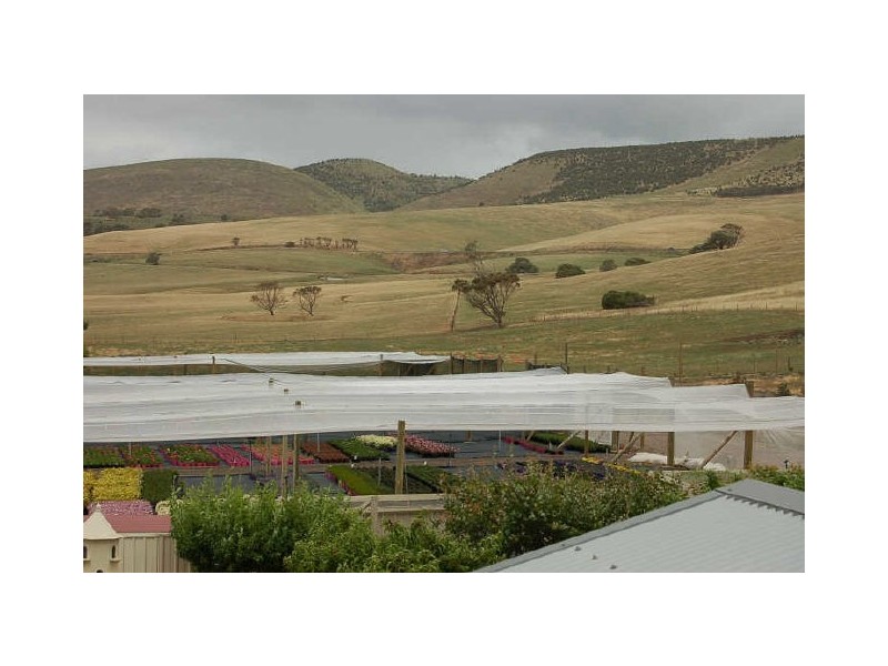 39 Napier Avenue, Sellicks Beach SA 5174