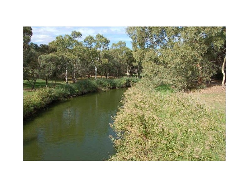 21 White Avenue, Lockleys SA 5032