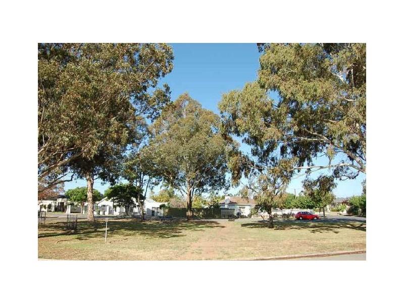 19 Douglas Street, Lockleys SA 5032