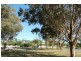 19 Douglas Street, Lockleys SA 5032