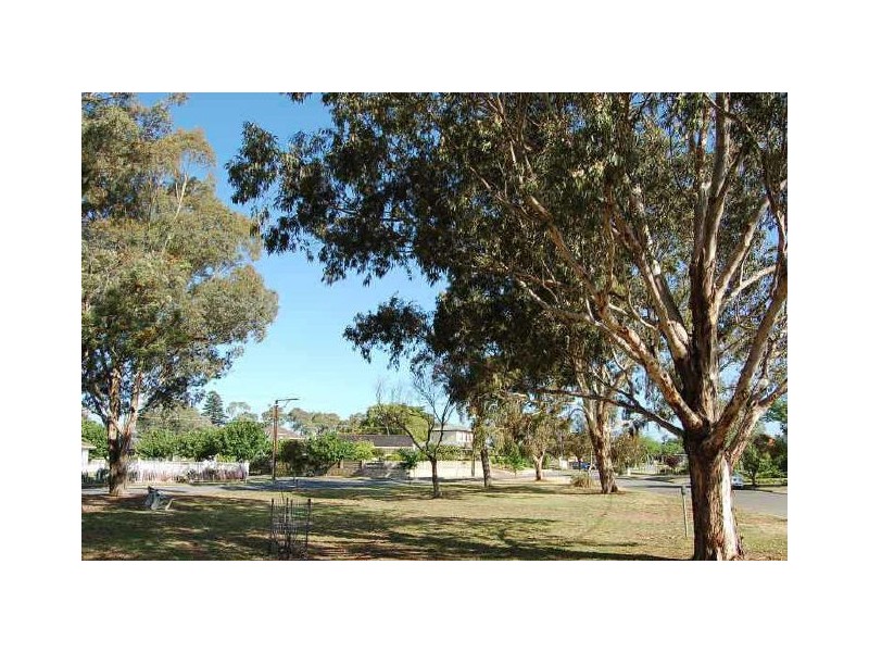 19 Douglas Street, Lockleys SA 5032