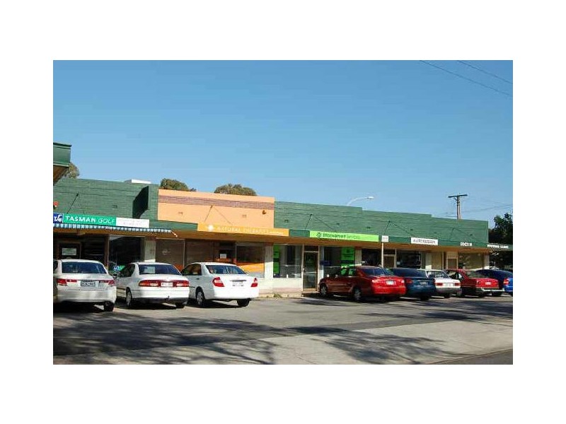 19 Douglas Street, Lockleys SA 5032