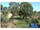 171 Holbrooks Road, Underdale SA 5032