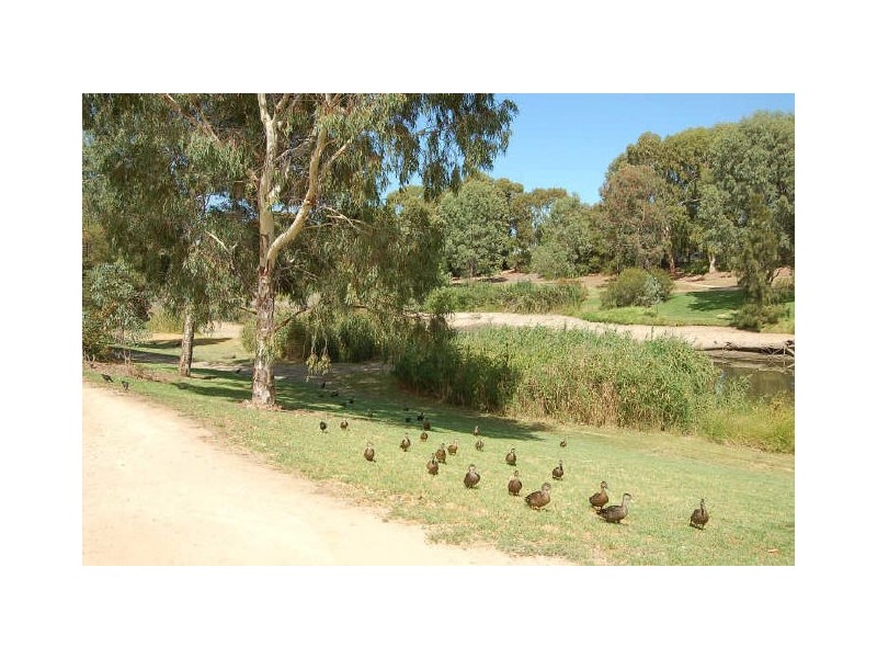 29 Castlebar Road, Lockleys SA 5032