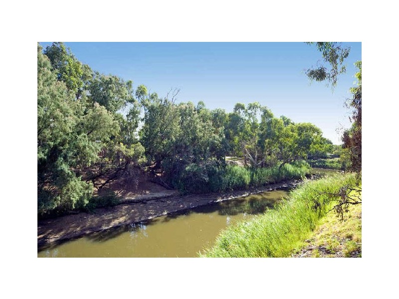 31 Castlebar Road, Lockleys SA 5032