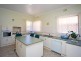 49 White Avenue, Lockleys SA 5032