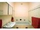 49 White Avenue, Lockleys SA 5032