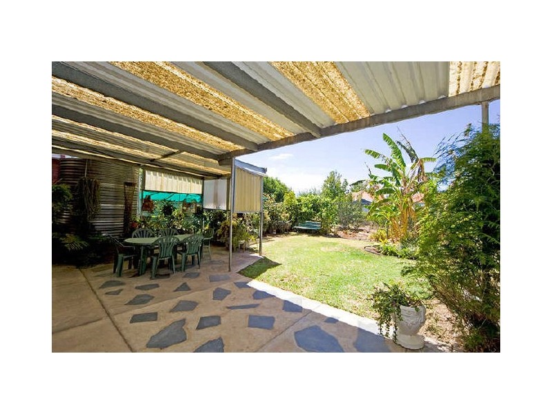 49 White Avenue, Lockleys SA 5032