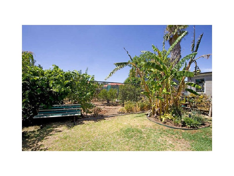49 White Avenue, Lockleys SA 5032