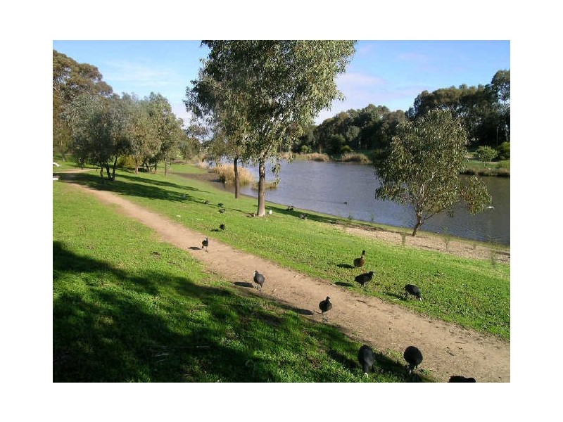 6 Rowells Road, Lockleys SA 5032