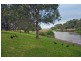 7 Durham Avenue, Lockleys SA 5032