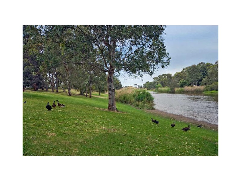 7 Durham Avenue, Lockleys SA 5032