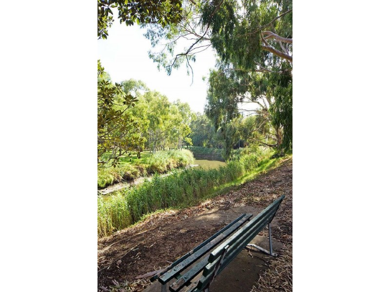 52 Clyde Avenue, Lockleys SA 5032