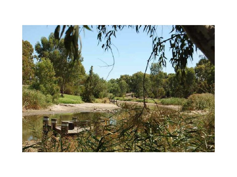 52 Clyde Avenue, Lockleys SA 5032