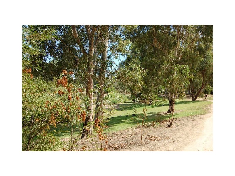 52 Clyde Avenue, Lockleys SA 5032