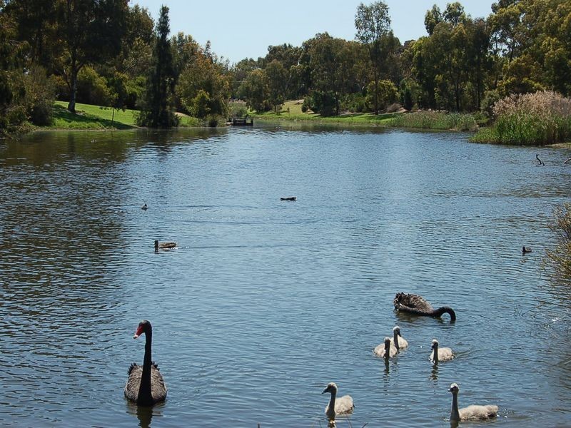 13 Castlebar Road, Lockleys SA 5032