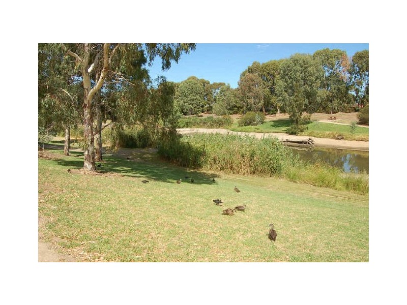 58 Main Street, Lockleys SA 5032