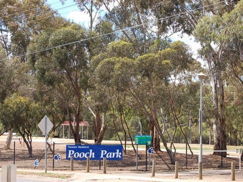 1/1 Arden Avenue, Lockleys SA 5032