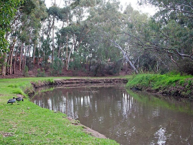 31 Lorraine Avenue, Lockleys SA 5032