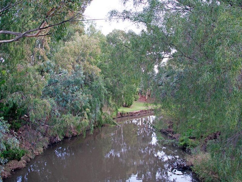 31 Lorraine Avenue, Lockleys SA 5032