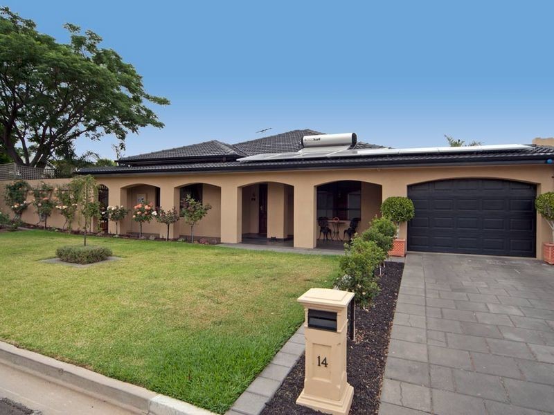 14 Counter Avenue, Lockleys SA 5032