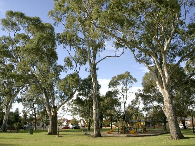 14 Counter Avenue, Lockleys SA 5032