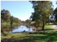 20 Mamande Crescent, Lockleys SA 5032
