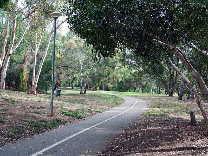 8 Carlow Avenue, Lockleys SA 5032